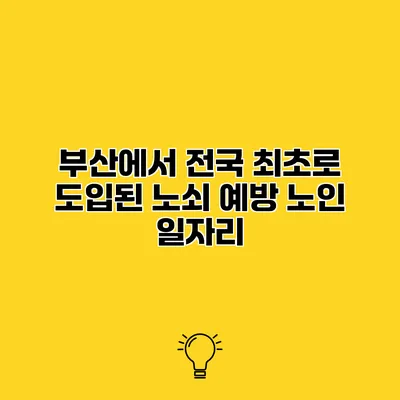부산에서 전국 최초로 도입된 노쇠 예방 노인 일자리
