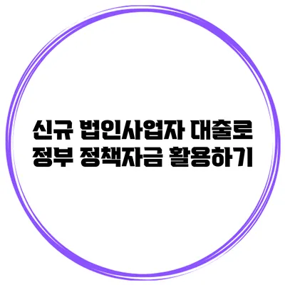 신규 법인사업자 대출로 정부 정책자금 활용하기