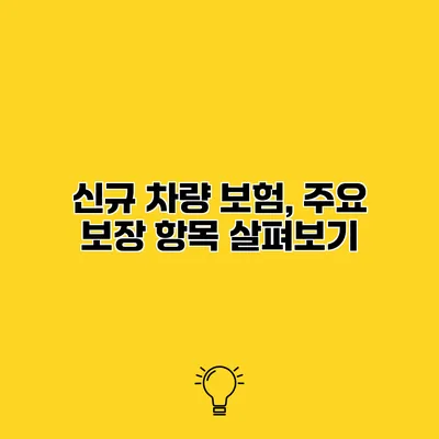 신규 차량 보험, 주요 보장 항목 살펴보기