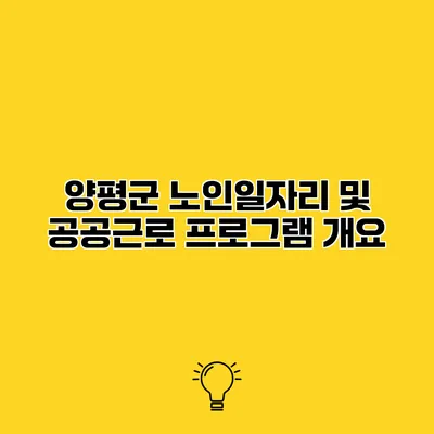 양평군 노인일자리 및 공공근로 프로그램 개요