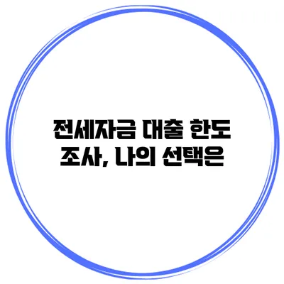전세자금 대출 한도 조사, 나의 선택은?