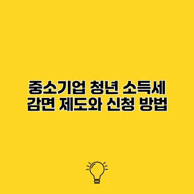 중소기업 청년 소득세 감면 제도와 신청 방법