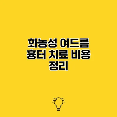 화농성 여드름 흉터 치료 비용 정리