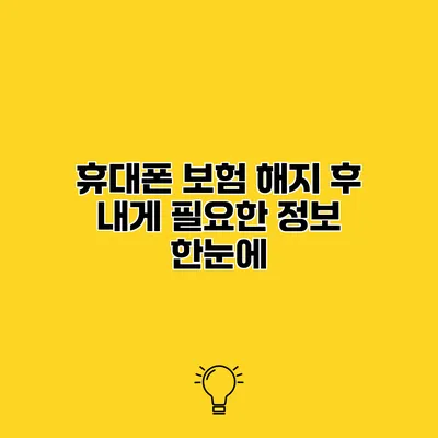 휴대폰 보험 해지 후 내게 필요한 정보 한눈에